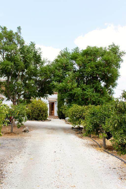 Casita Naranja *